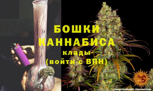 стаф Вуктыл