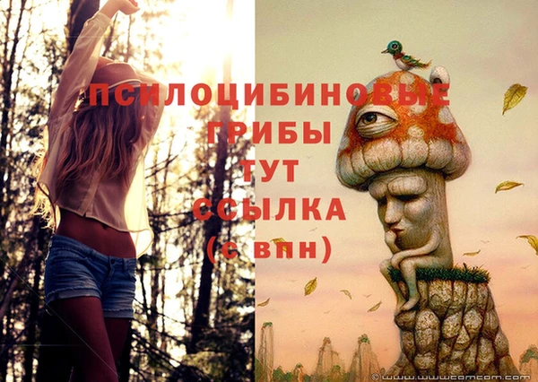 амфетамин Аркадак