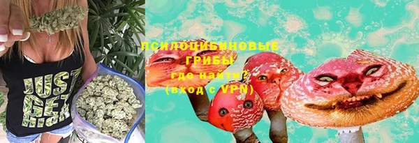 прущие грибы Армянск