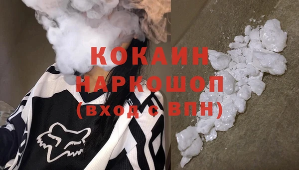 прущие грибы Армянск